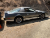 1989 PONTIAC TRANSAM LHD  V8 AUTO